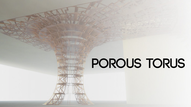 Porous Torus